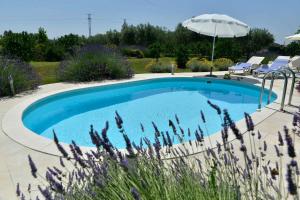 Holiday Home with Pool in Vodnjan 44171