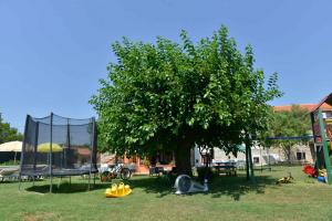Holiday Home with Pool in Vodnjan 44171