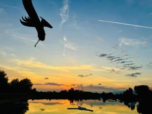 Holiday Home in Lazise near Lake Garda