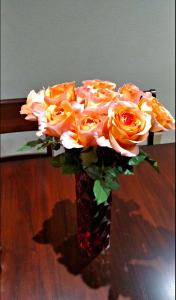 mein haus bed and breakfast