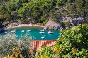 Apartment near Lake in Vrbnik-Insel Krk 58320