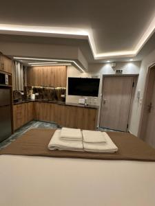 Luxury Semi Basement Studio Apartment