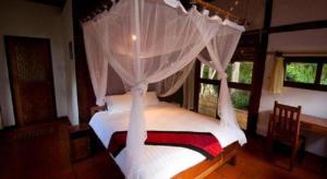Forest Floor Lodge