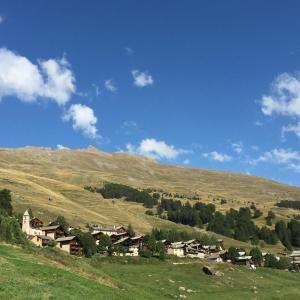 Hotels Les Chalets du Villard : photos des chambres