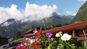 Haus Alpengruß