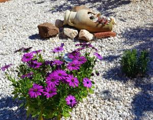 Casa Vacanze Mura img47