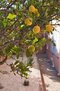 Casa Vacanze Mura img57