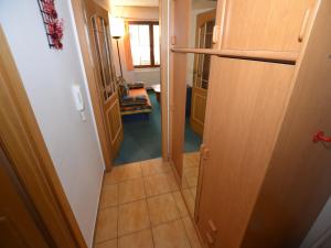 Apartment in Jachymov near Ski Lift