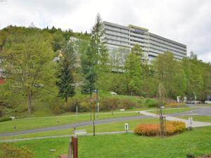 Apartment in Jachymov near Ski Lift