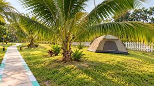 Aranya Camping & retreat yoga