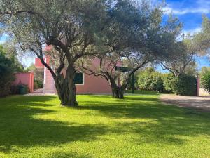 Ionian Bay Studios