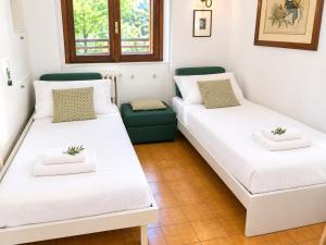 Green Apartment