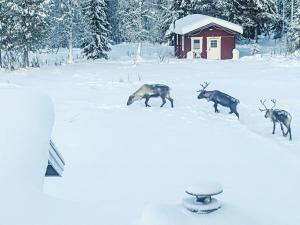 Holiday Home Järvstuga by Interhome