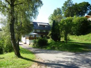 Апартамент Landhaus Valentin Триберг Германия