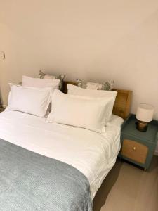 Mondjila Apartments - Freedom Plaza, CBD