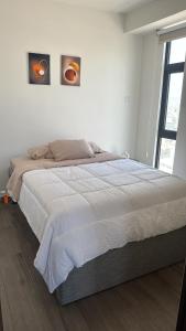 Confort en el centro de Monterrey 2 bedroom