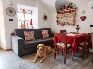 LAntica Canonica di Casa Bernardi, terrazzo Wi-Fi PetFriendly con Area Cani