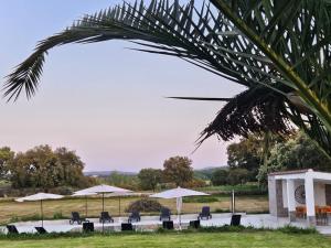 Holiday Home FINCA EL ALAMO - BARCARROTA by Interhome