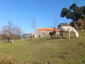 Quinta Da Mata