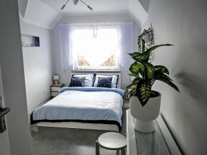 Villa U Edzia by Interhome