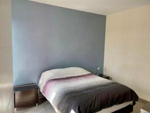 Domina Queretaro