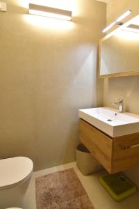 Des Alpes 15 Studio Apartment MhD