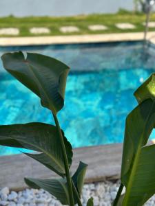 Berim Villas 2