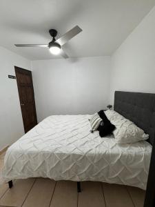 Casa Encinos Patio and Private Parking