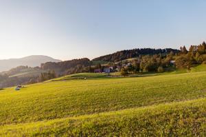 Apartmaji Pr-Gujlu Sela nad Podmelcem 5220 TOLMIN