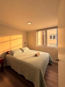 Departamento nuevo en Villarrica 3D y 1B