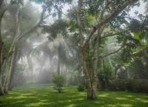 Nature Resort
