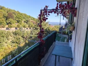 Alloggio Turistico DanyLu