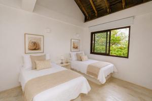 Casa isla punta la manta