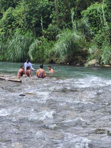 Riverside wellness retreat with spa services