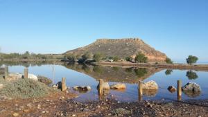Surf Beach Apartments