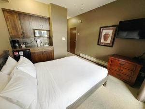 Mountain Studio Hideaway Sleeps 2 HotTub and Gym!