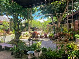 Cocoa Hut