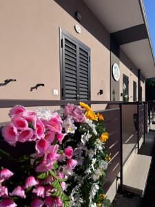 PAMA Home