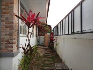 Entire holiday home and lot of amenities