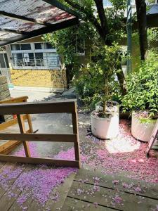 桜見Sakurami-Sakura View Guesthouse toji temple 3 bedrooms