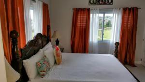 Comfy stay at low cost - Shared pool - Gated 24hrs security - 20mins from Ocho Rios