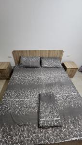 SeaSide Comfort Apartment Shëngjin