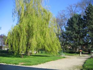 Les Chambres dhôtes Benoit Breton