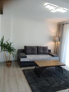 Apartament Grey