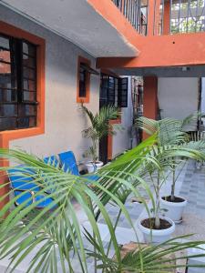 Paradise Guest House
