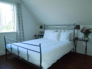 Bed & Breakfast Frans Hals Haarlem