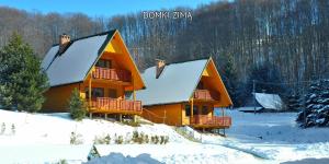 Bieszczady Sosnowa Aleja