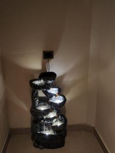 Luxury 1BHK The Cocoon Story
