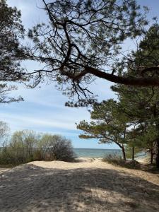 Sunny Dune