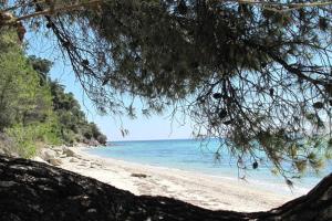 Electra's Private Beach Villa Halkidiki Greece